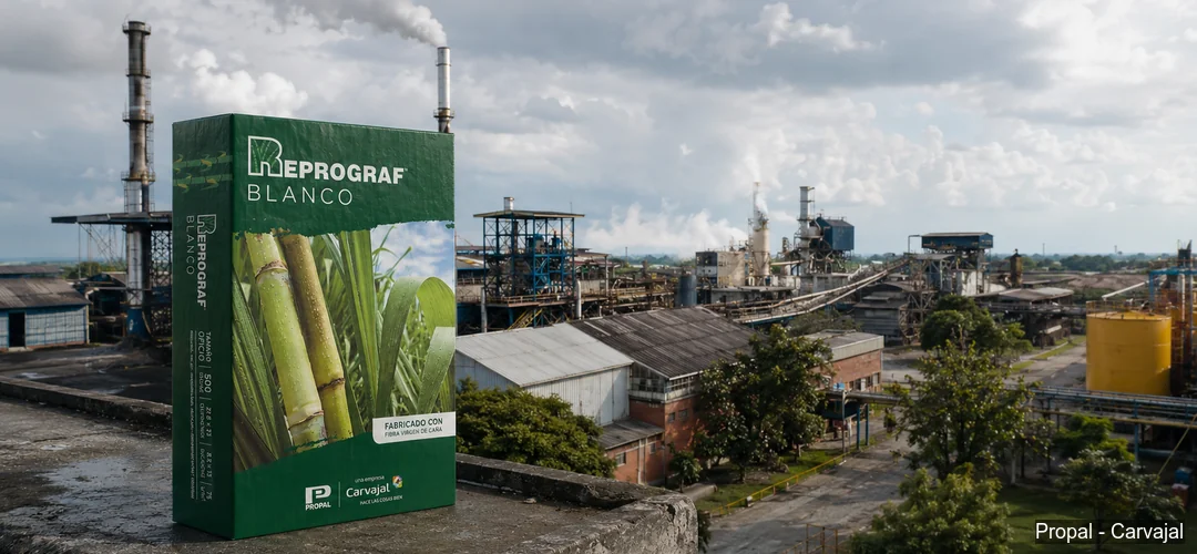 Caja de papel Reprograf Blanco frente a planta industrial de Propal en Cauca